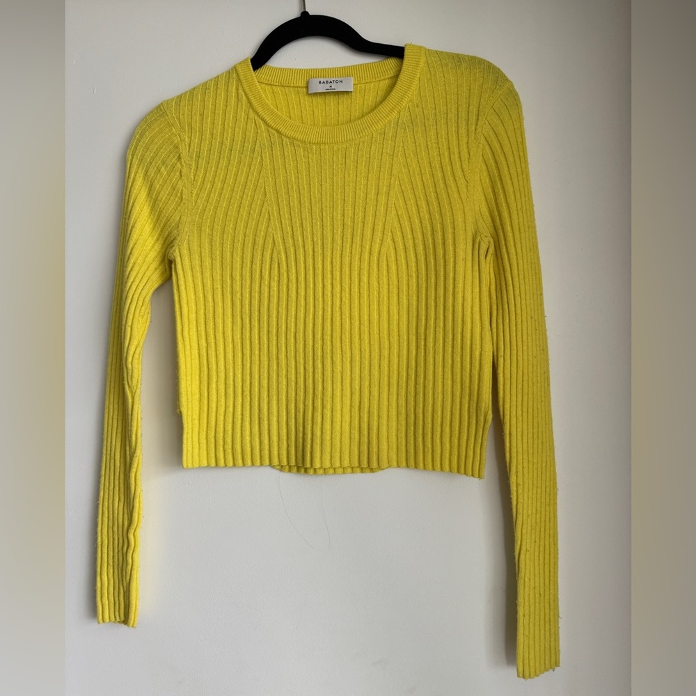 Aritzia Babaton Sweater